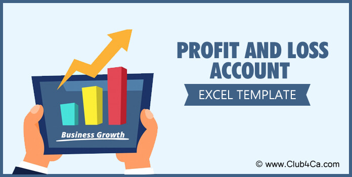 Profit and Loss Account Template, Profit and Loss Statement format