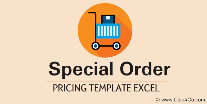 MS Excel Special Order Pricing Template